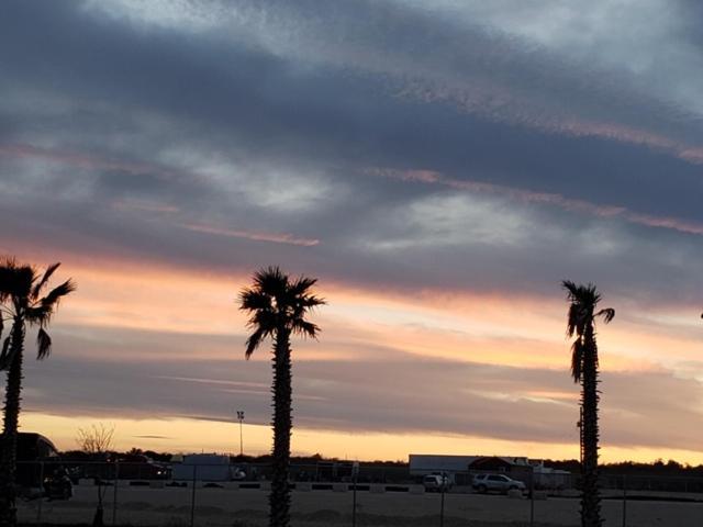 Rivercity Rv Park New Braunfels Εξωτερικό φωτογραφία
